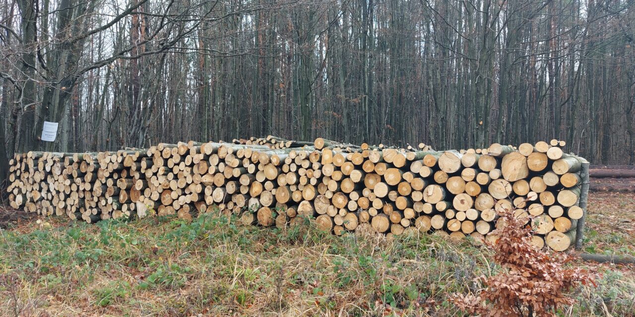 1 235 ПРОВЕРКИ В СЦДП ПРЕЗ АВГУСТ
