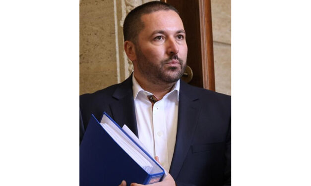 СИЯНИЕ ВЛИЗА В ИЗБОРИТЕ